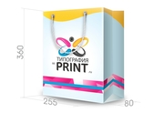 заказать печать Бумажный пакет горизонтальный, А4 формата , размер 255х360х80 мм, бумага 200 г/м² + с ламинацией, установка люверсов и ручки-шнурка